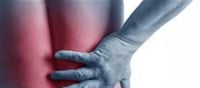 Back Pain Stopping Your Daily Life? Neurologist Shares Simple, Effective Tips for Natural Relief and Prevention